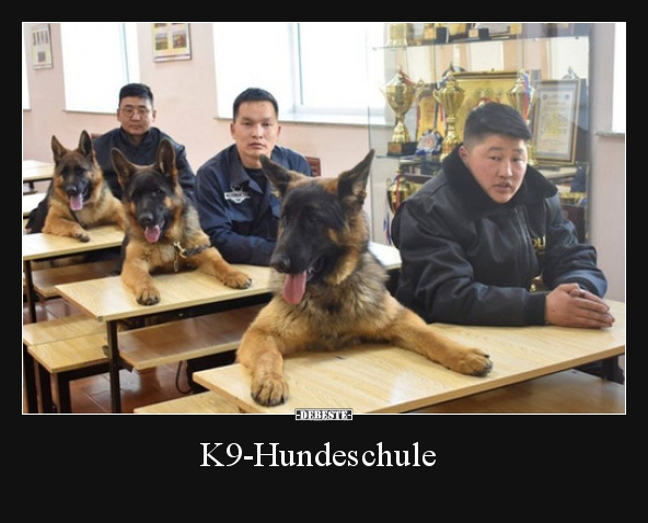 K9-Hundeschule.. - Lustige Bilder | DEBESTE.de