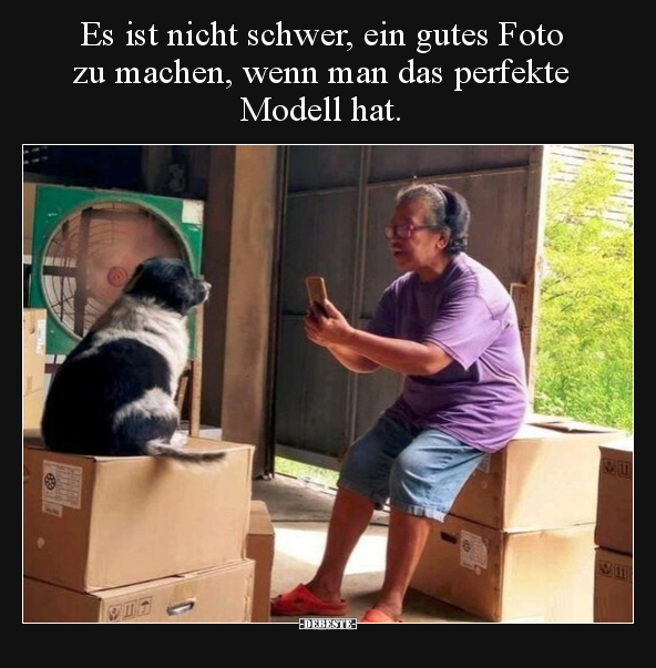 Es ist nicht schwer, ein gutes Foto zu machen, wenn man.. - Lustige Bilder | DEBESTE.de