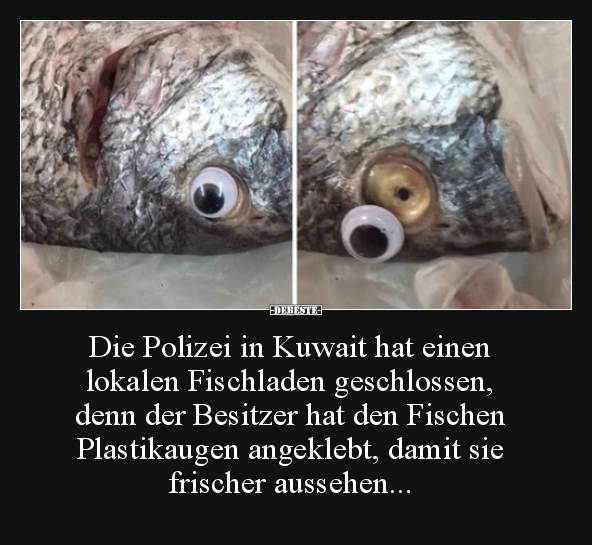 Die Polizei in Kuwait hat einen lokalen Fischladen.. - Lustige Bilder | DEBESTE.de