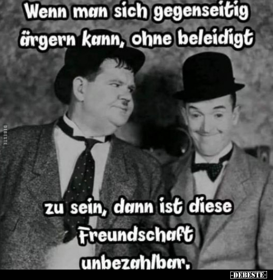 Wenn man sich gegenseitig ärgern kann, ohne beleidigt zu.. - Lustige Bilder | DEBESTE.de