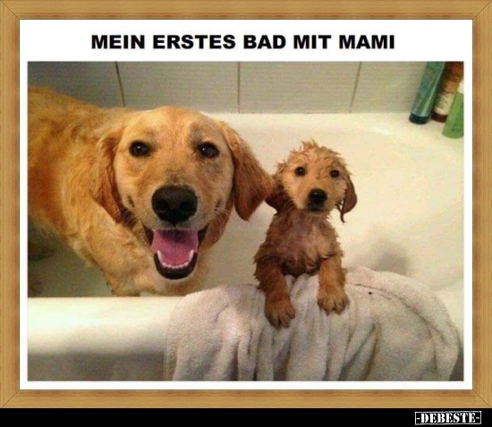 Mein erstes Bad mit Mami.. - Lustige Bilder | DEBESTE.de