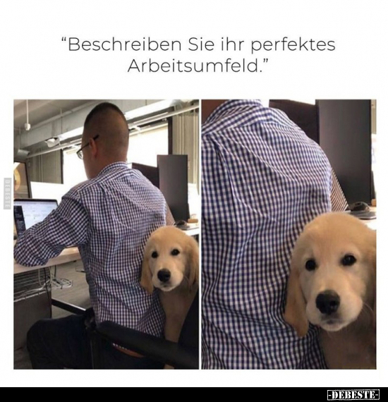 "Beschreiben Sie ihr perfektes Arbeitsumfeld.".. - Lustige Bilder | DEBESTE.de