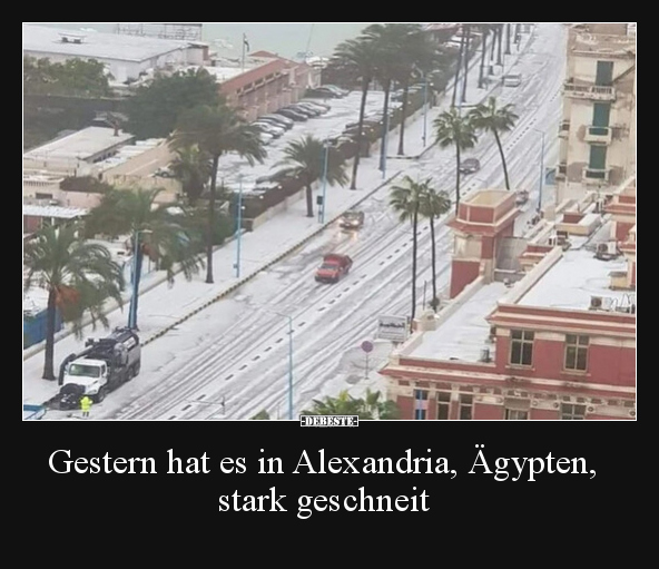 Gestern hat es in Alexandria, Ägypten, stark geschneit.. - Lustige Bilder | DEBESTE.de