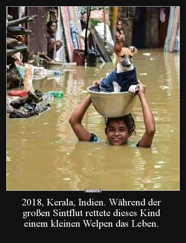 2018, Kerala, Indien. Während der großen Sintflut rettete.. - Lustige Bilder | DEBESTE.de