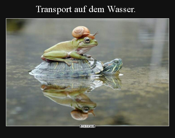 Transport auf dem Wasser... - Lustige Bilder | DEBESTE.de