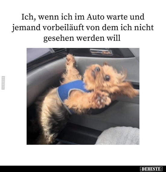 Ich, wenn ich im Auto warte und.. - Lustige Bilder | DEBESTE.de