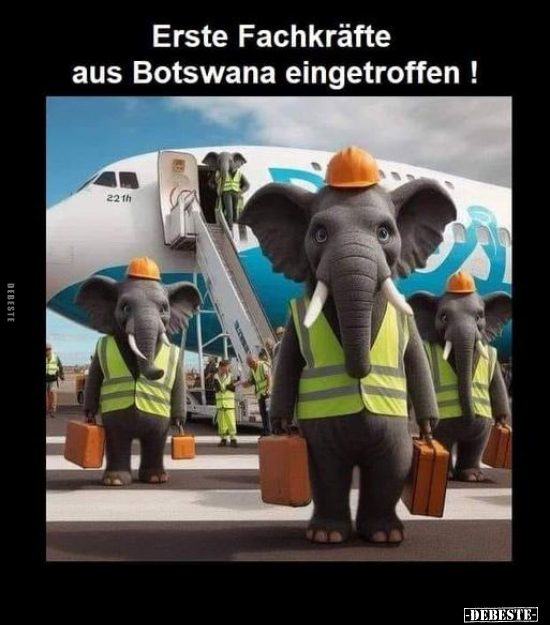 Erste Fachkräfte aus Botswana eingetroffen!.. - Lustige Bilder | DEBESTE.de
