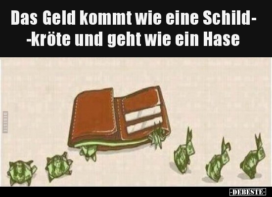 Das Geld kommt wie eine Schildkröte und geht wie ein.. - Lustige Bilder | DEBESTE.de