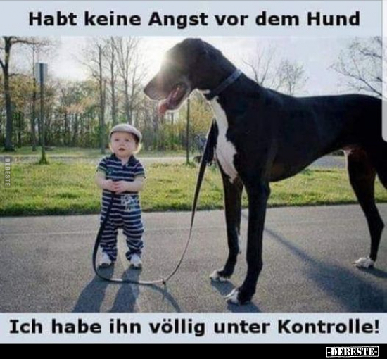 Habt keine Angst vor dem Hund.. - Lustige Bilder | DEBESTE.de