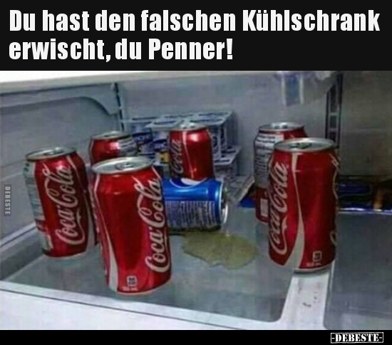 Du hast den falschen Kühlschrank erwischt, du Penner!.. - Lustige Bilder | DEBESTE.de
