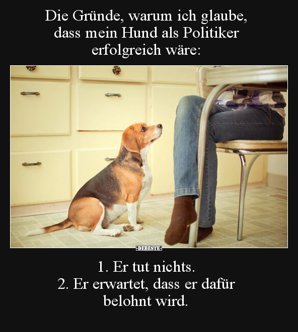 Die Gründe, warum ich glaube, dass mein Hund als Politiker.. - Lustige Bilder | DEBESTE.de