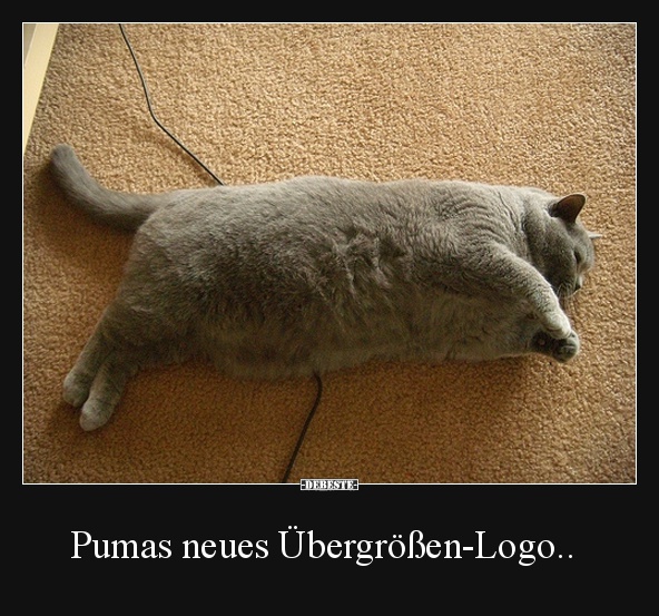 Pumas neues Übergrößen-Logo.. - Lustige Bilder | DEBESTE.de