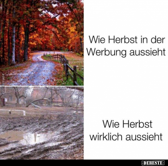 Wie Herbst in der Werbung aussieht.. - Lustige Bilder | DEBESTE.de
