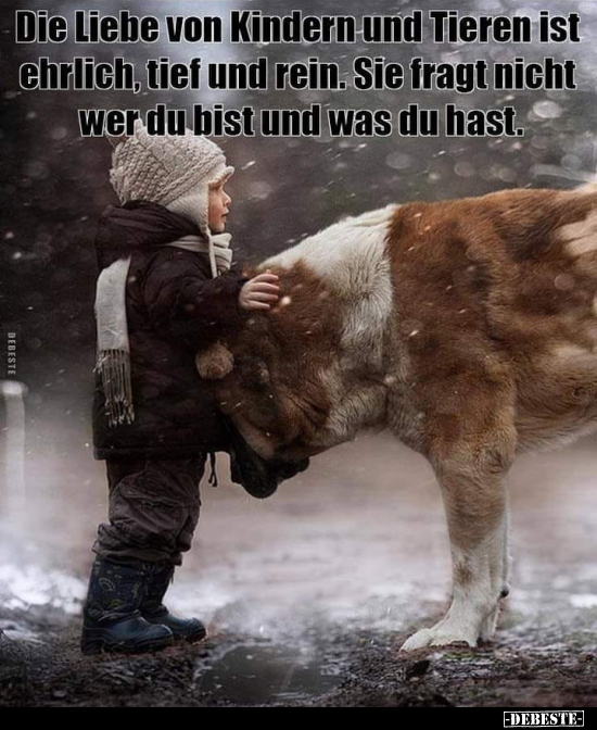 Die Liebe von Kindern und Tieren ist ehrlich.. - Lustige Bilder | DEBESTE.de
