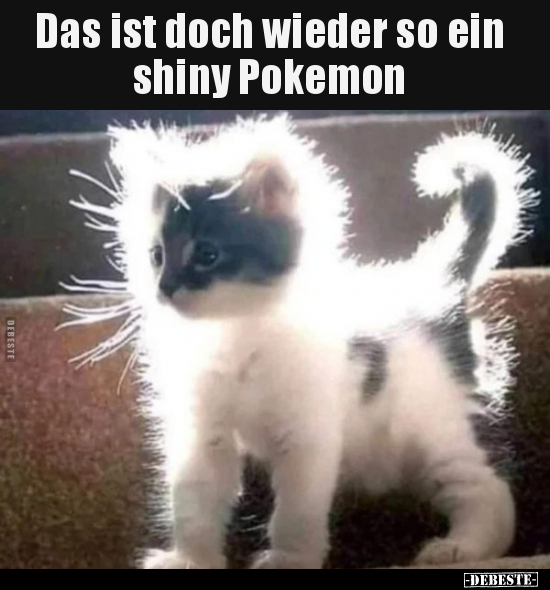 Das ist doch wieder so ein shiny Pokemon.. - Lustige Bilder | DEBESTE.de