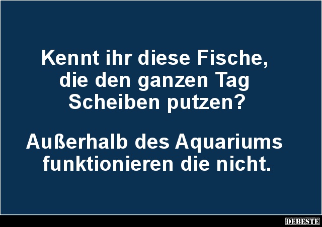 Kennt ihr diese Fische, die den ganzen Tag Scheiben putzen? - Lustige Bilder | DEBESTE.de
