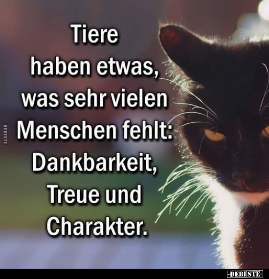 Tiere haben etwas, was sehr vielen Menschen fehlt.. - Lustige Bilder | DEBESTE.de