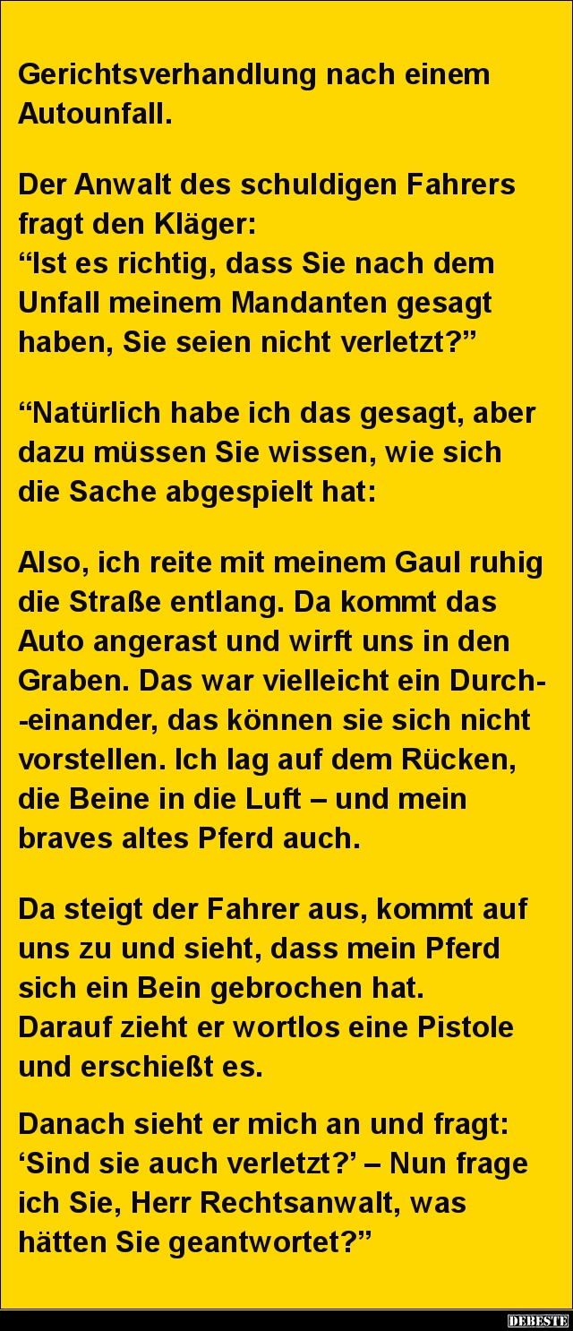 Gerichtsverhandlung nach einem Autounfall.. - Lustige Bilder | DEBESTE.de