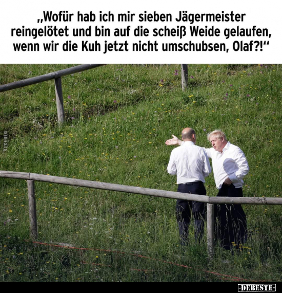 "Wofür hab ich mir sieben Jägermeister reingelötet und bin.." - Lustige Bilder | DEBESTE.de