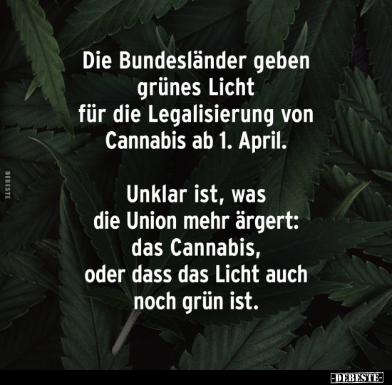 Die Bundesländer geben grünes Licht für die Legalisierung.. - Lustige Bilder | DEBESTE.de