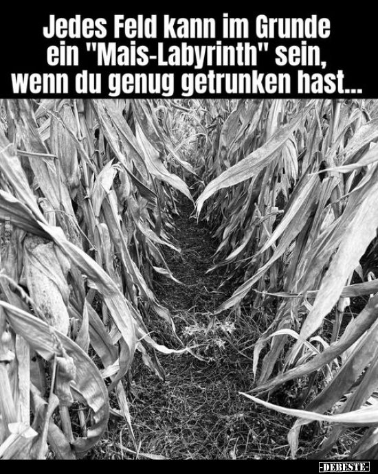 Jedes Feld kann im Grunde ein "Mais-Labyrinth" sein, wenn.. - Lustige Bilder | DEBESTE.de