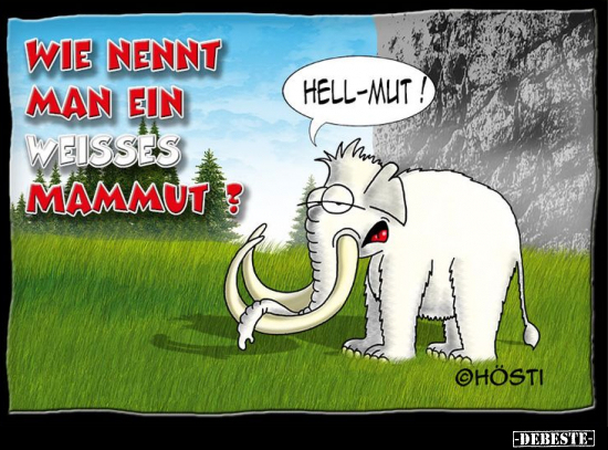 Wie nennt man ein weisses Mammut?.. - Lustige Bilder | DEBESTE.de