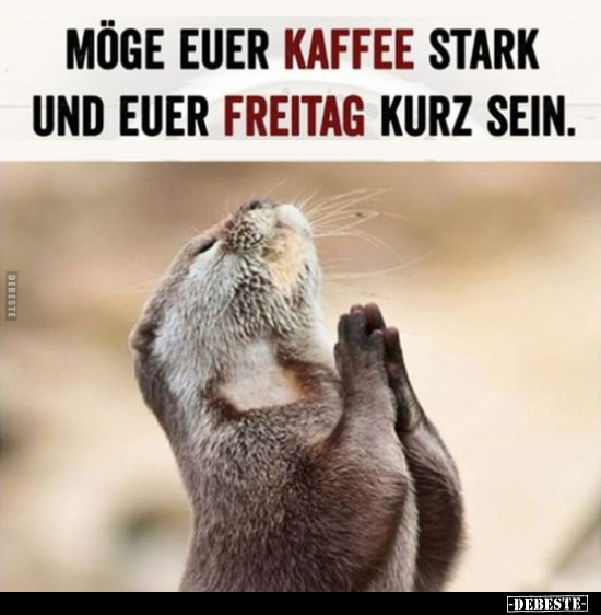 Möge euer Kaffee stark und euer Freitag kurz sein... - Lustige Bilder | DEBESTE.de