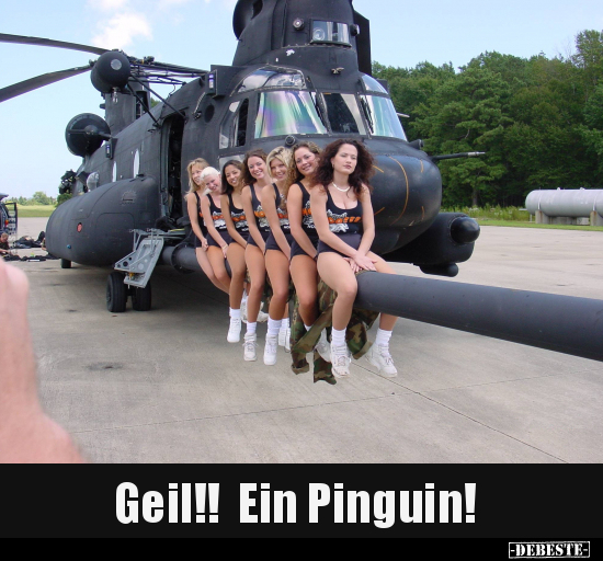 Geil!! Ein Pinguin!.. - Lustige Bilder | DEBESTE.de