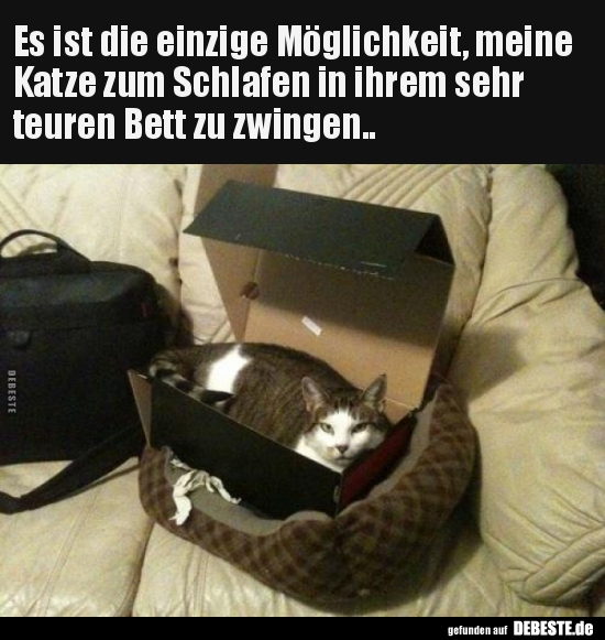 Es ist die einzige Möglichkeit, meine Katze zum Schlafen.. - Lustige Bilder | DEBESTE.de