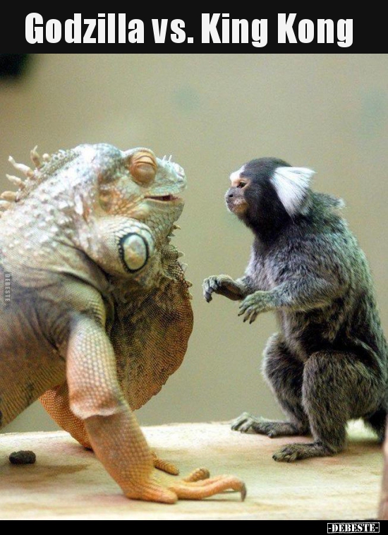 Godzilla vs. King Kong.. - Lustige Bilder | DEBESTE.de