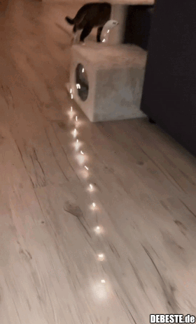 Katze zieht Lichterkette rum.. - Lustige Bilder | DEBESTE.de