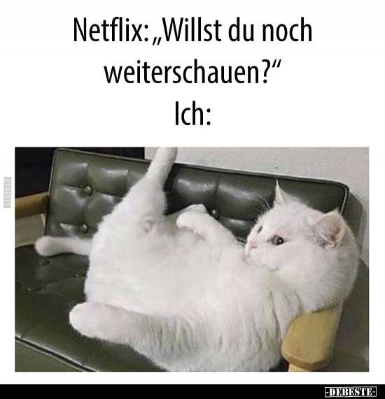Netflix: "Willst du noch weiterschauen?".. - Lustige Bilder | DEBESTE.de