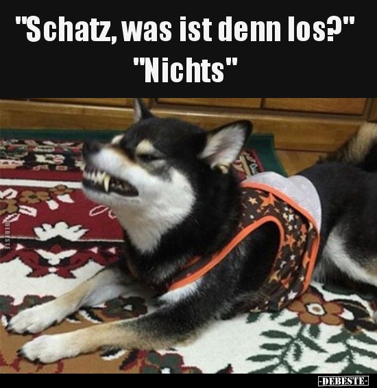 "Schatz, was ist denn los?"... - Lustige Bilder | DEBESTE.de