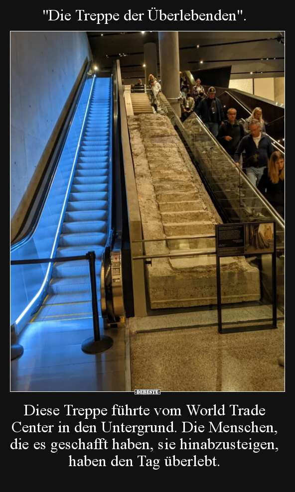 "Die Treppe der Überlebenden". Diese Treppe führte vom.. - Lustige Bilder | DEBESTE.de