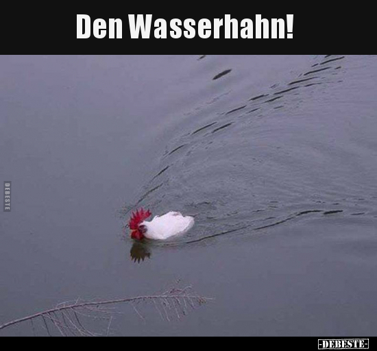 Den Wasserhahn!.. - Lustige Bilder | DEBESTE.de