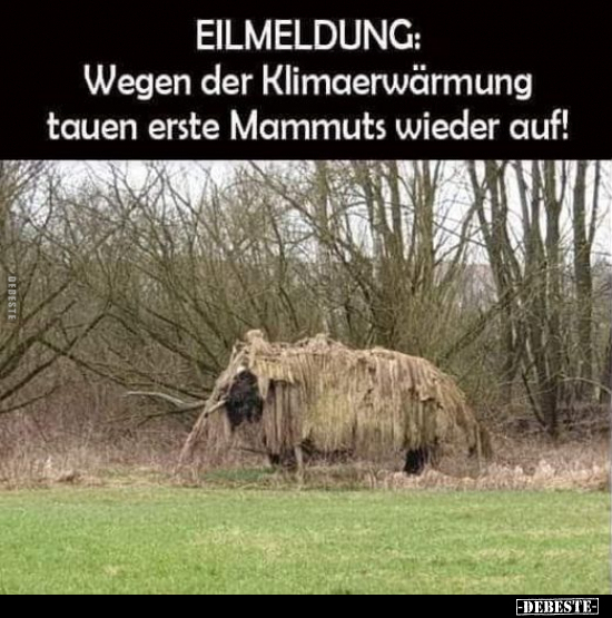 EILMELDUNG: Wegen der Klimaerwärmung tauen erste Mammuts.. - Lustige Bilder | DEBESTE.de
