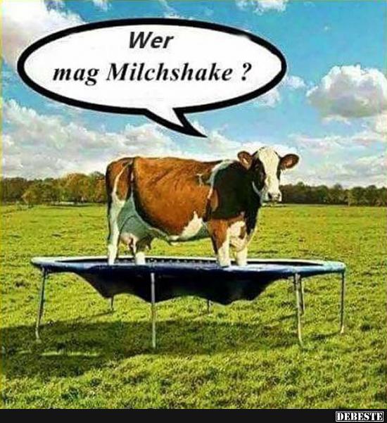 Wer mag Milchshake? - Lustige Bilder | DEBESTE.de