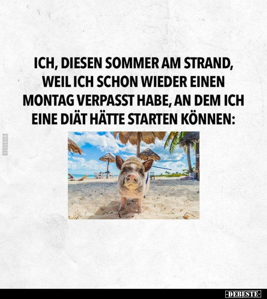 Ich, diesen Sommer am Strand, weil ich schon wieder einen.. - Lustige Bilder | DEBESTE.de