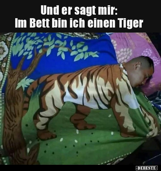 Und er sagt mir: Im Bett bin ich einen Tiger.. - Lustige Bilder | DEBESTE.de
