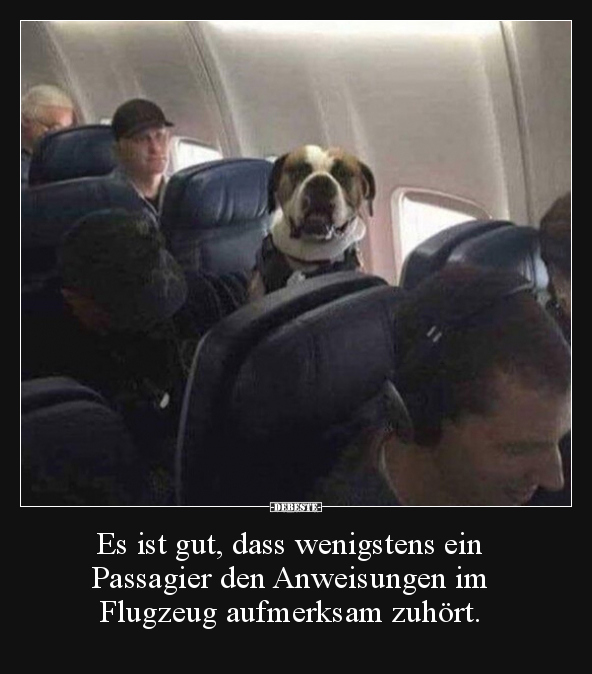 Es ist gut, dass wenigstens ein Passagier den Anweisungen.. - Lustige Bilder | DEBESTE.de