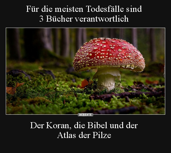 Für die meisten Todesfälle sind 3 Bücher verantwortlich.. - Lustige Bilder | DEBESTE.de