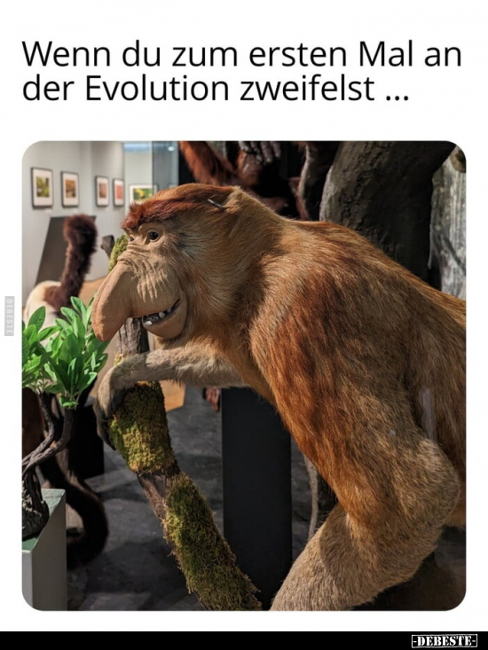 Wenn du zum ersten Mal an der Evolution zweifelst... - Lustige Bilder | DEBESTE.de