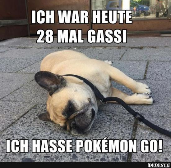 Ich war heute 28 mal Gassi. Ich hasse Pokémon-GO!.. - Lustige Bilder | DEBESTE.de