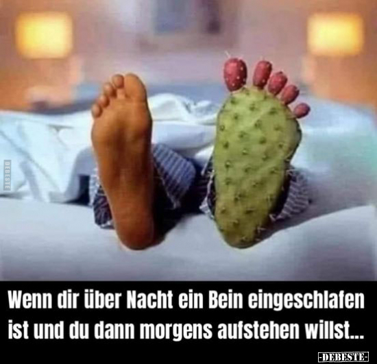 Wenn dir über Nacht ein Bein eingeschlafen ist.. - Lustige Bilder | DEBESTE.de