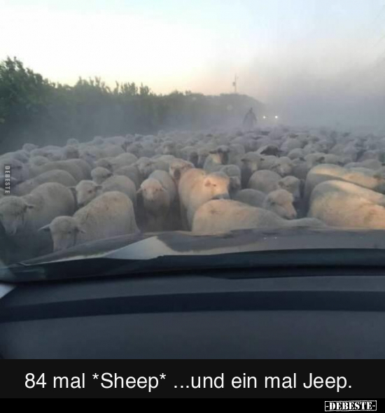84 mal *Sheep* ...und ein mal Jeep. - Lustige Bilder | DEBESTE.de