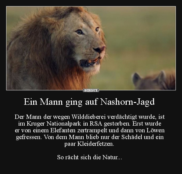 Ein Mann ging auf Nashorn-Jagd.. - Lustige Bilder | DEBESTE.de