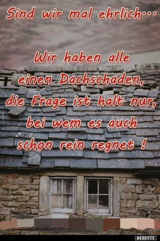 Sind wir mal ehrlich... Wir haben alle einen Dachschaden.. - Lustige Bilder | DEBESTE.de