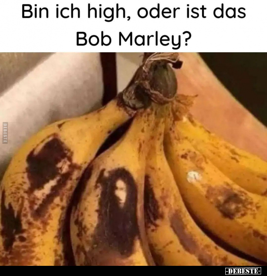 Bin ich high, oder ist das Bob Marley?.. - Lustige Bilder | DEBESTE.de
