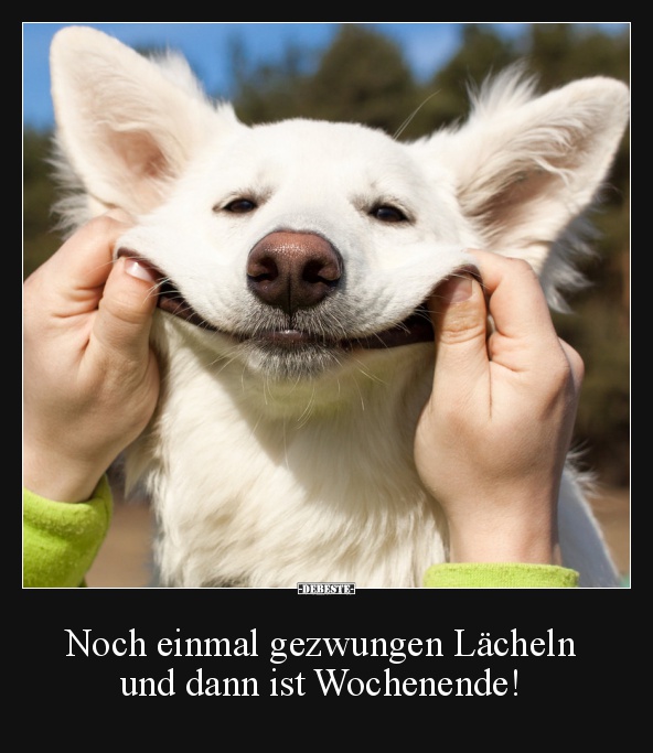 Noch einmal gezwungen Lächeln und dann ist Wochenende! - Lustige Bilder | DEBESTE.de