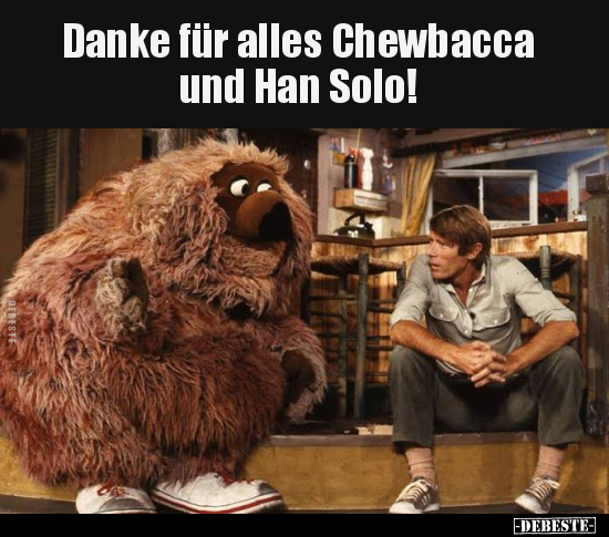 Danke für alles Chewbacca und Han Solo!.. - Lustige Bilder | DEBESTE.de